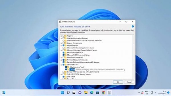 How to Enable NFS on Windows 11