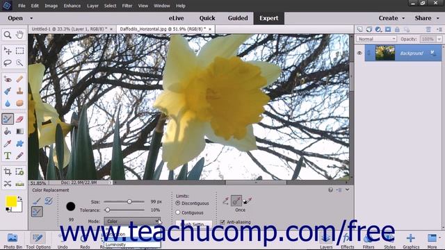 Photoshop Elements 15 Tutorial The Color Replacement Tool Adobe Training смотреть онлайн