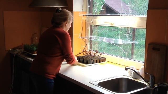 Модульный стелаж-фито-подсветка для рассады и комнатных растений смотреть онлайн