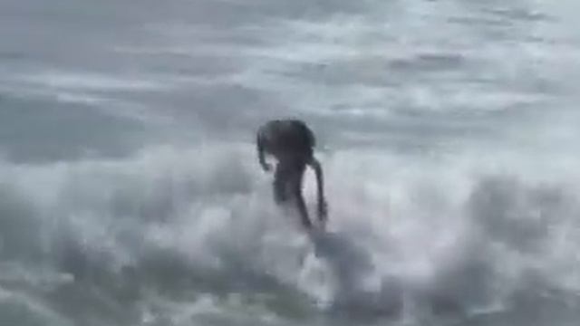 Surfing wih Kai Lowe смотреть онлайн