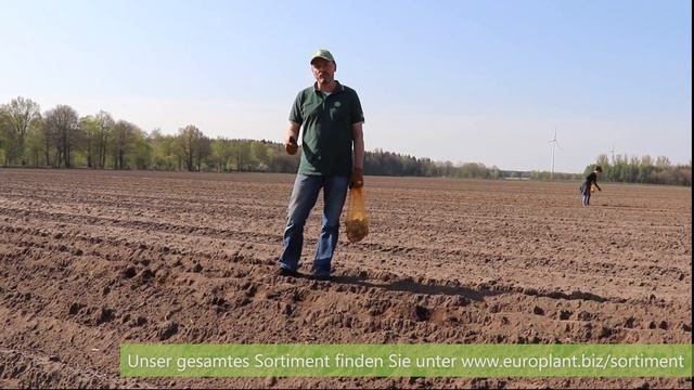 Pflanzung des Versuchsfeldes in Wietzendorf - EUROPLANT смотреть онлайн