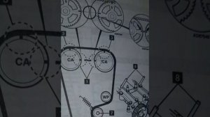 HONDA CIVIC 1.6 VTI/1.6 V-TEC; INTEGRA TUPE R; CIVIC 1.6 DOHC/1.8; CRX 1.6 DOHC МЕТКИ ГРМ