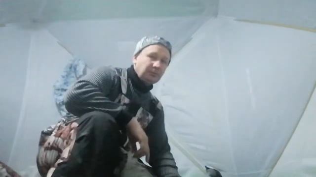 Медведь куб 3. смотреть онлайн