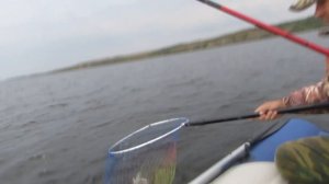 Ловля судака осенью с лодки.Судак в отвес на балансир.