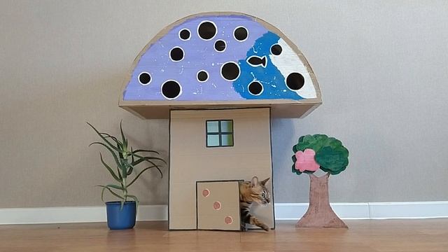 Домик для КОШКИ с САМОЙ маленькой ДВЕРЬЮ из картона смотреть онлайн
