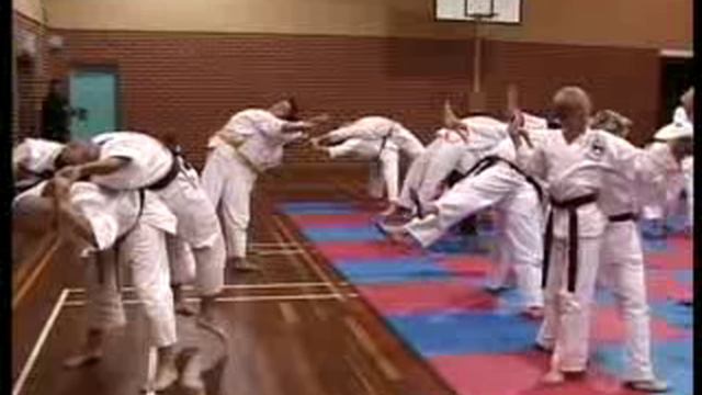 МакКарти - Кэмпо дзюцу смотреть онлайн