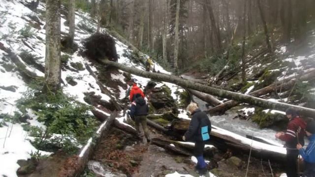 Баллада о метели, пирожках и Западном Кавказе в марте месяце смотреть онлайн