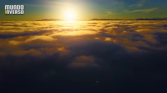 ESSE REGISTRO DEIXOU TODO MUNDO CHOCADO смотреть онлайн