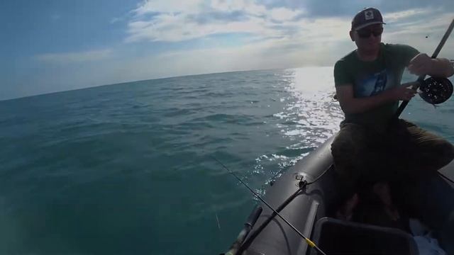 Рыбалка на чёрном море ставрида № 5 смотреть онлайн