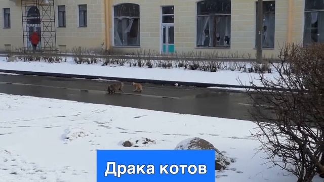 Кронштадт смотреть онлайн