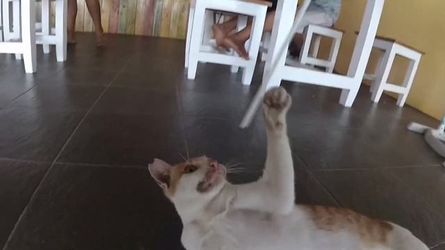 ГИЛИ ЭЙР GILI AIR