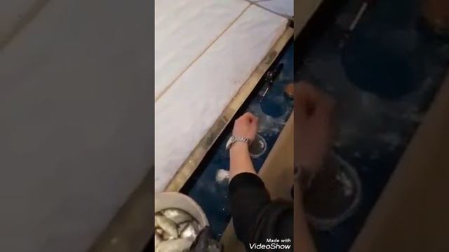 Балхаш зимняя рыбалка 2021/Balkhash winter fishing ? 2021 смотреть онлайн
