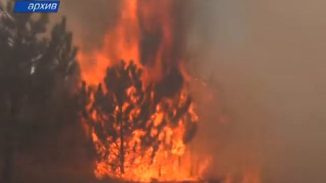 В Симферопольском районе горела лесная подстилка смотреть онлайн