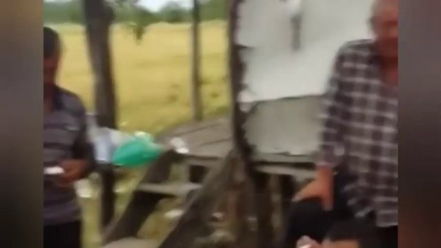 Аварцы и Грузины Отдыхают в Лагодехи смотреть онлайн