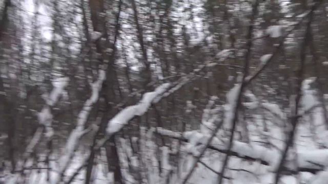 Охота на соболя 9. Один в тайге. смотреть онлайн