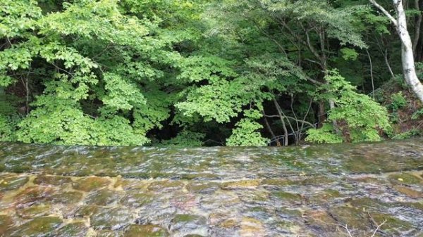 The philosophy of life.