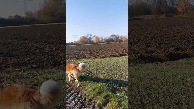 Обзор на сегодня Влад Бахов смотреть онлайн