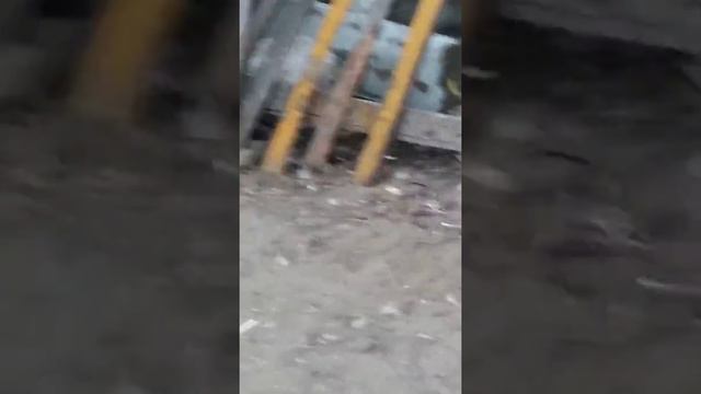9 летняя девочка курить и матерится как танк смотреть онлайн
