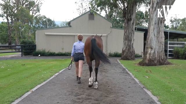 Lot 358 Exceed and Excel x Precious Sophia Colt смотреть онлайн