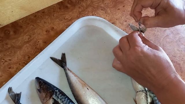 Скумбрия, посол и копчение! #скумбрия смотреть онлайн