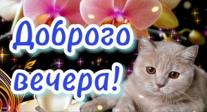 С добрым вечером! Пожелание доброго вечера! Музыкальная открытка! Добрый вечер!