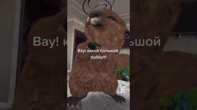 какой большой бобёр!!! смотреть онлайн