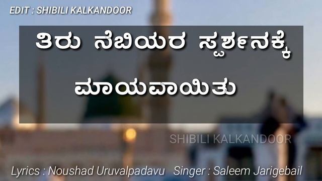 Thiru Thwaha Malagida | Kannada Meelad Song 2k19 | Kannada Madh Song With Lyrics | WhatsApp Status