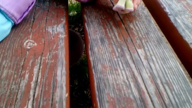 Сказки про пони смотреть онлайн