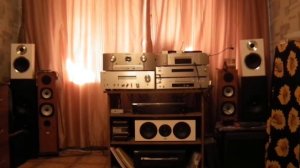 Onkyo C-7030+Marantz SR5014+AEgis EVO Tree. Warren Zevon.CD