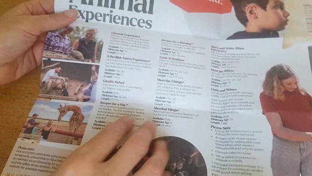 Reading Brochures : Monarto Zoo | ASMR смотреть онлайн