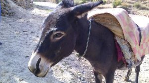 МОЯ РОДИНА  Г.УРГУТ  УЗБЕКИСТАН.