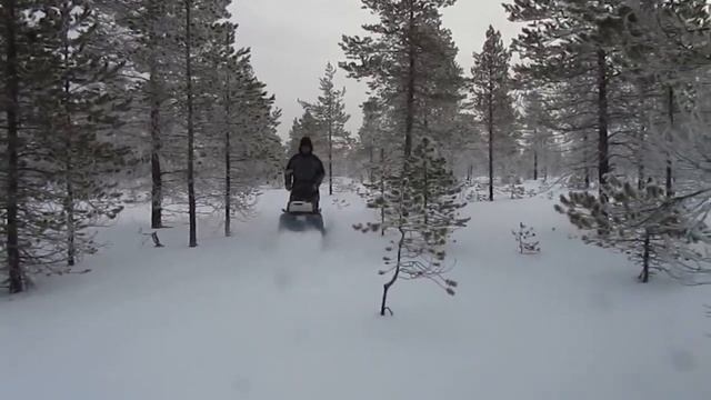 Светлое озеро - 5 (февраль 2012) смотреть онлайн