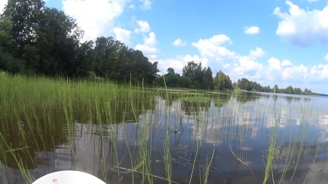 Карельская рыбалка сетями на мелях,без лодки на озере | Чистка колодца смотреть онлайн