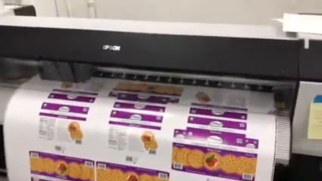 Epson GS6000 смотреть онлайн
