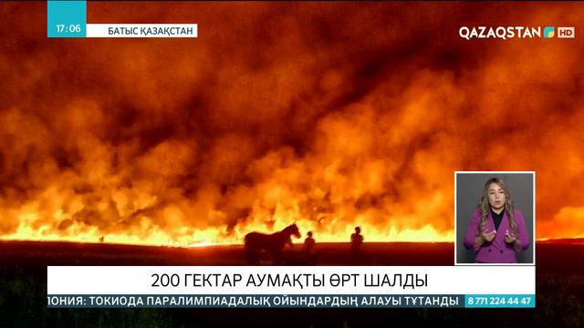 Батыс Қазакстанда 200 гектар аумақты өрт шалды смотреть онлайн