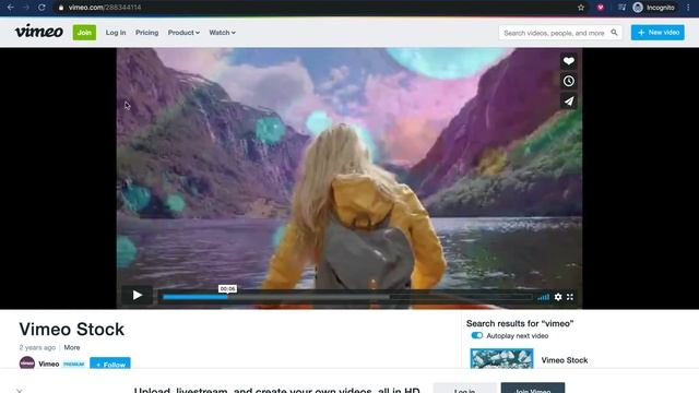 Vimeo Video Downloader : Chrome Extension