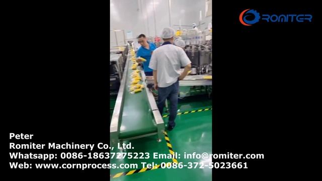 Автоматическая линия вакуумной упаковки для промывки и бланширования сладкой кукурузы смотреть онлайн