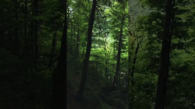 Парк Роза Хутор. DJI mini 2 смотреть онлайн