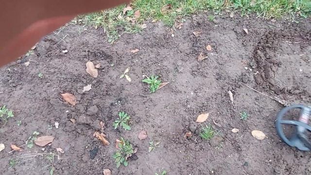 Деус 2,как понизить БГ,лайфхак! смотреть онлайн