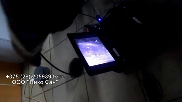 Телеинспекция в столовой смотреть онлайн