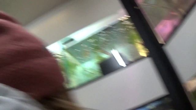 Поехали покупать рыб lll Вуалехвост, Телескоп, Склярия смотреть онлайн