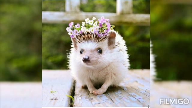 Улыбнись,😁 я желаю тебе счастья!!! смотреть онлайн