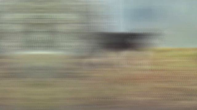 Эдит для Марты\\Хаски Мэт смотреть онлайн