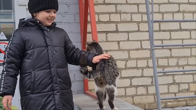 Как Мила провела свою первую ночь дома? я в шоке. Она разорвала попону? Везем кошек лечиться. смотреть онлайн