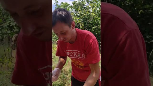 Домашний кулинарный курс