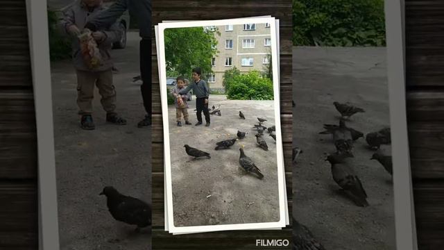 Екатеринбург Мухсин смотреть онлайн