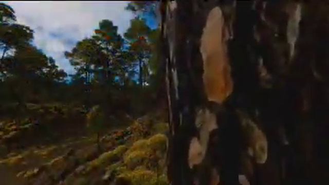 CONQUISTA DO PARAISO - CASIO CTK 7200 - LEVI M SANTOS смотреть онлайн