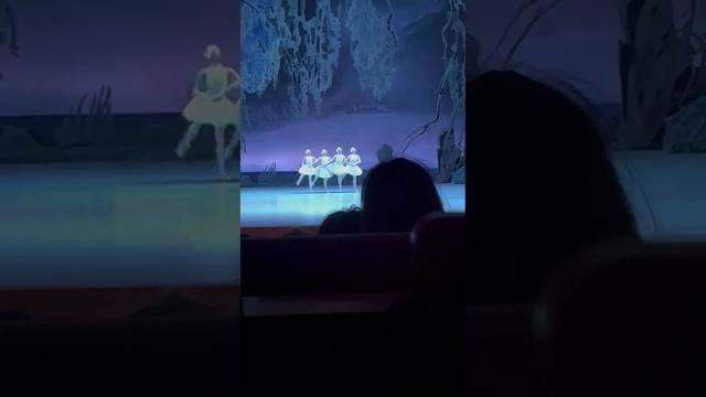 П. И. Чайковский "Лебединое озеро" Танец маленьких лебедей" Мариинка г. Санкт -Петербург смотреть онлайн