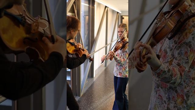 VIVALDI 4 SEASONS In Less Than 3 Minutes.