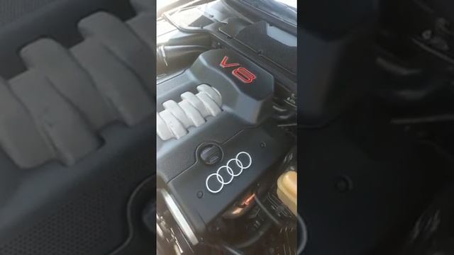 Audi S8 4.2 V8 Quattro Tiptronic - 1998 смотреть онлайн